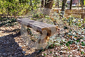 Stiz bench from tree trunk