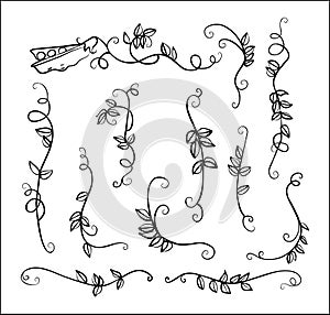 Stock big set one-line drawn ornament peas and leaves