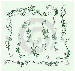 Stock big set one-line drawn ornament peas and leaves green