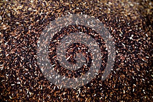 Stock of black rice or riceberry is a product of Thailand