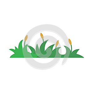 burs vector flat design