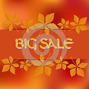 Stock card template for autumn sale. Abstract blurred orange background and fall leafs. You can place your text in the cent
