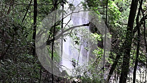 Stock Footage Behind a waterfall in the jungle in the rainforest with lianas.