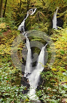 Stock Ghyll Force, Ambleside, Cumbria.