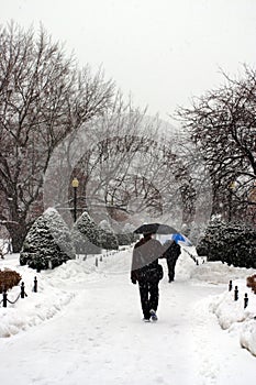 Stock image of Boston Winter, Boston, USA