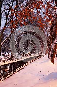 Stock image of Boston Winter, Boston, USA