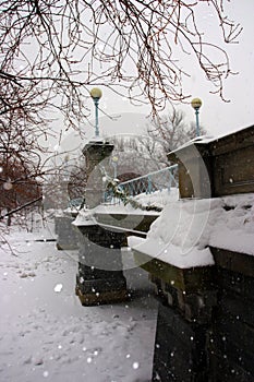 Stock image of Boston Winter, Boston, USA