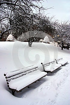 Stock image of Boston Winter, Boston, USA
