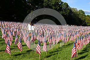 Stock image of Field of American Flags