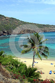 Stock image of Hanauma Bay, Oahu, Hawaii