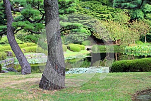 Stock image of Imperial Palace, Tokyo, Japan