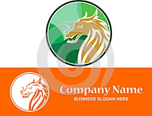 Stock logo dragon colorful