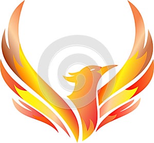 Stock logo flaming flying phoenix