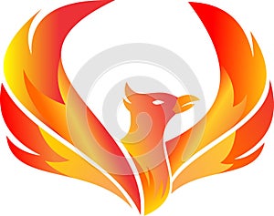 Stock logo flying fire phoenix