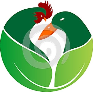 Stock logo rooster duck nature farm
