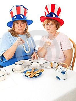 Stock Photo of Angry Tea Party Voters