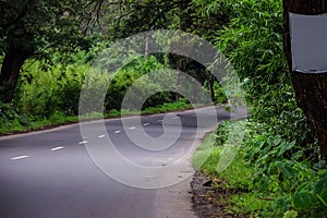 Stock photo of asphalt road to tropical forest or jungle covered with big trees like tree tunnel at Kolhapur, Maharashtra, India.