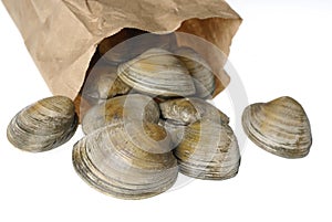 Stock Photo of Clams in Paper Bag