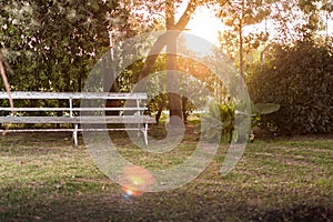 Stock photo of Empty bank in a garden during a sunset with an amazing light photo