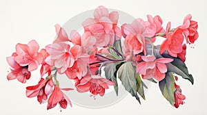 Watercolor Painting Of Pink Flowers In Full Bloom photo