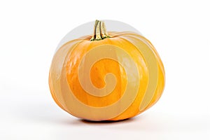 stock photo of fresh Pumpkin on white background photo