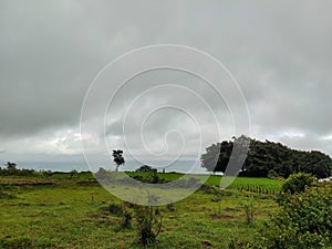 Stock photo of scenic landscape on top of the hill, land cover with green grass, plants with big banyan tree. Dark clouds on