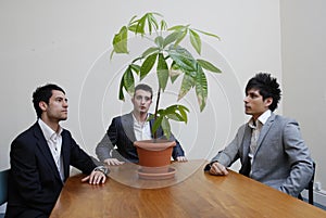 Stock photo of young businessmen contemplating green issues