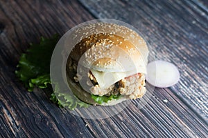 Stock photo of Zinger burger