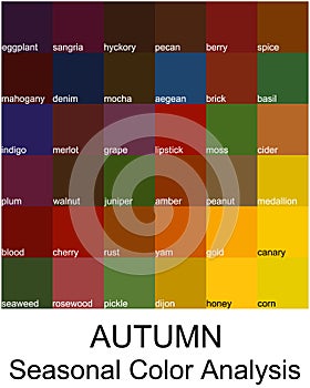 Stock vector color guide with color names. Seasonal color analysis palette for autumn type