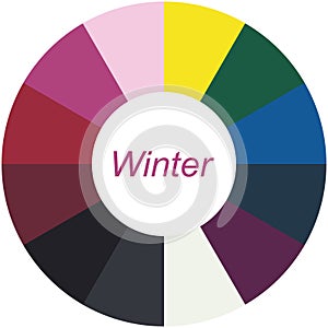 Stock vector color guide. Seasonal color analysis palette for winter type