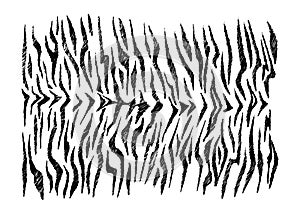 Stock vector hand drawn abstract Tiger skin imitation