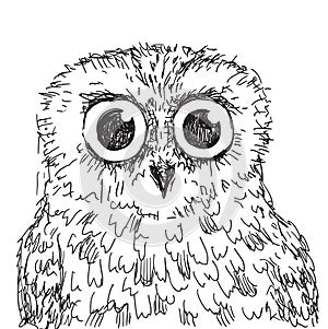 Stock vector hand drawn owl illustration