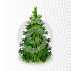 Stock vector illustration realistic Christmas tree Isolated on transparent checkered background. EPS10