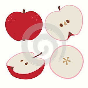 Stock vector illustration with set of apples on a white background, red apples, slices. Contemporary apples.