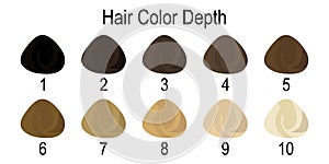 Stock vector palette with hair colour numbering system photo