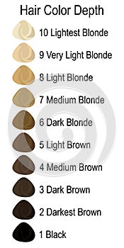 Stock vector palette with hair colour numbering system photo