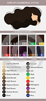 Stock vector palette with hair dye numbering system, levels, tones and undertones. Palette for level 2 hair color depth