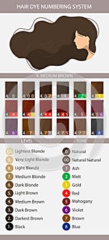 Stock vector palette with hair dye numbering system levels tones and undertones. Palette for level 4 hair color depth