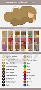 Stock vector palette with hair dye numbering system, levels, tones and undertones. Palette for level 7 hair color depth