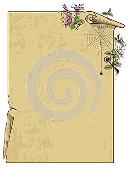 Stock vector. Scroll background with flowers and spider.