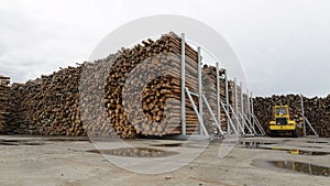 Stock or warehouse, piles of logs, lumber, timber, wood, trees. Territory of woodworking plant, factory