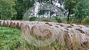 stocked piles of hay on a meadow