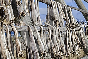 Stockfish