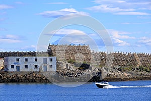 Stockfish, or dried fish, dries in the air in Svolvaer in Norway