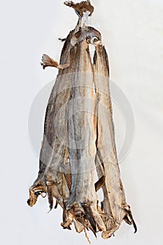 Stockfish