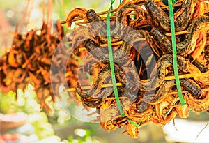 Stockfish outdoor drying closeup