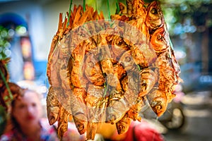 Stockfish outdoor drying closeup in Nepal