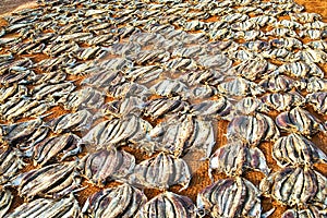 Stockfished drying on a coco mat