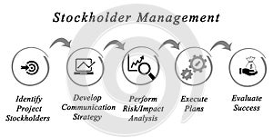 Stockholder Management