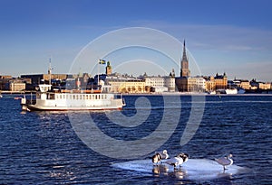 Stockholms city and a boat photo
